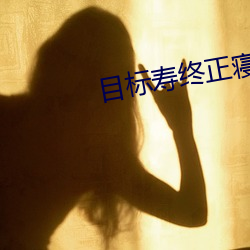 目(目)标(標)寿终正寝