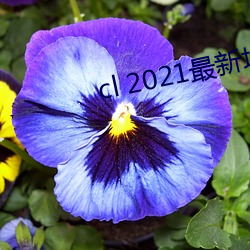 米乐M6·(中国)官方网站