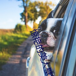 惊艳的美人(人)壁纸