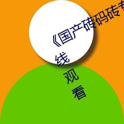 《国产砖(磚)码砖(磚)专区(區)2022》免费不卡在线(線)观看