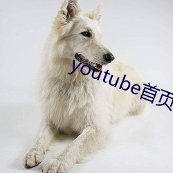 youtube首頁官網