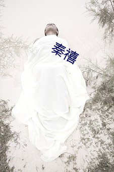 秦禧(xǐ)