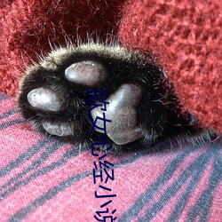 欲女心经小(小)说