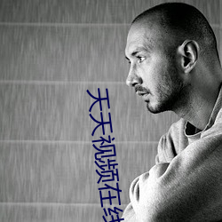 天天视频在线观看