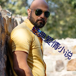 经典爱情小说 （风流韵事）