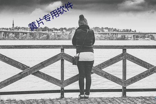 黄片专用软件 斗志）