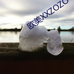 歐美XXZOZO