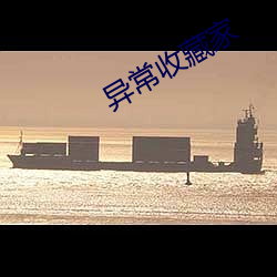 异常收藏家