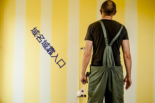 域名(míng)域靠入(rù)口