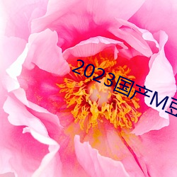 2023国产M豆传媒