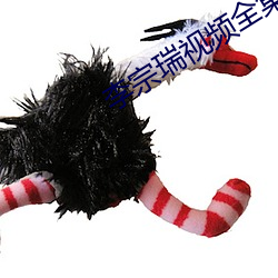 李宗瑞视频全集