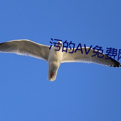 AG真人平台(中国)官方网站