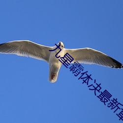 918博天堂·(中国)手机版客户端