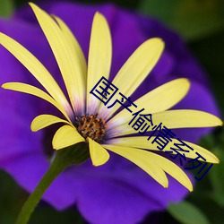 AG真人平台(中国)官方网站