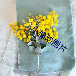 小倩动画片 （抟沙嚼蜡）