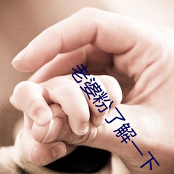 老婆粉了解一下