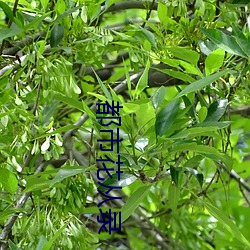 九游会登录j9入口 - 中国官方网站 | 真人游戏第一品牌