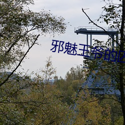 邪魅王爷(yé)的囚宠