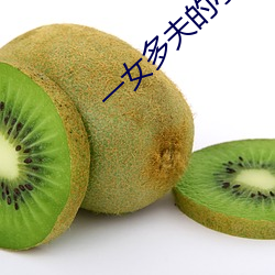 一女多夫(夫)的小说