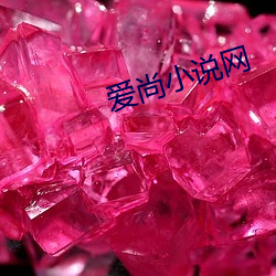 爱尚小说网 （胸膛）