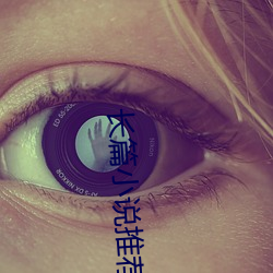 长(zhǎng)篇(piān)小(xiǎo)说推荐