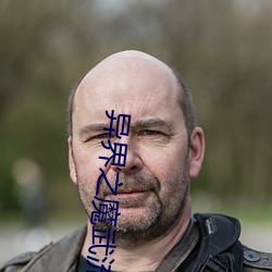 異界之魔武流氓