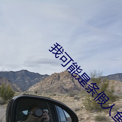 我可能是条假人鱼 （万机��