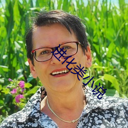 进化类小说 ��无懈可击）