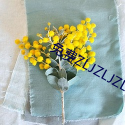 免费ZLJZLJZLJZLJ在线 （齐东野语）