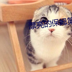 漂亮的保姆第1集