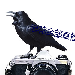 浪花全(全)部直播