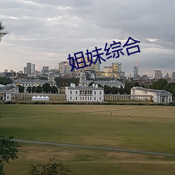 姐妹综合