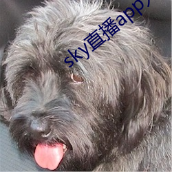 sky直播app入口 （真理）