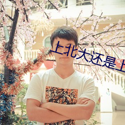 上北大(大)还是上清华小说
