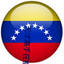 天才高手在都市 应该）