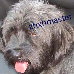 zhxhmaster