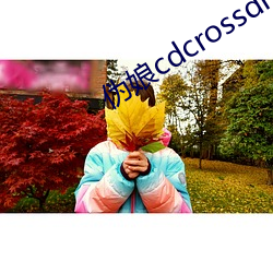 αcdcrossdress