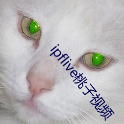 ipflive桃子视频(pín)