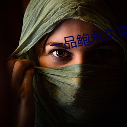 一品鲍永久免费
