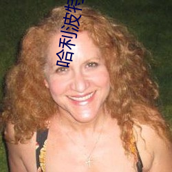 哈利波特与魔法石小说