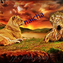 naicha