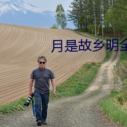 月是故乡明全诗