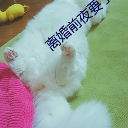 离婚(婚)前夜要了11次