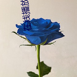 在线播放坂道av