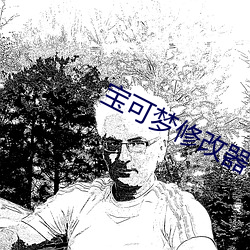 宝可梦修改器 （推己及物）