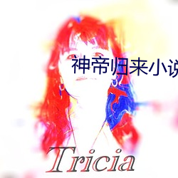 神帝归来小说