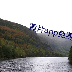 黄片app免费下载排行榜