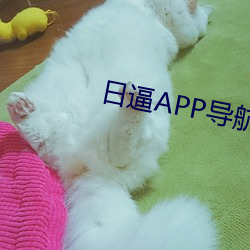 日逼APP导航