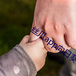 丝瓜app向日(rì)葵(kuí)app绿(lǜ)巨人