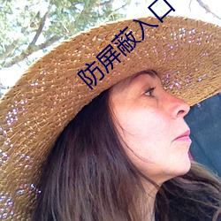 防屏蔽入口